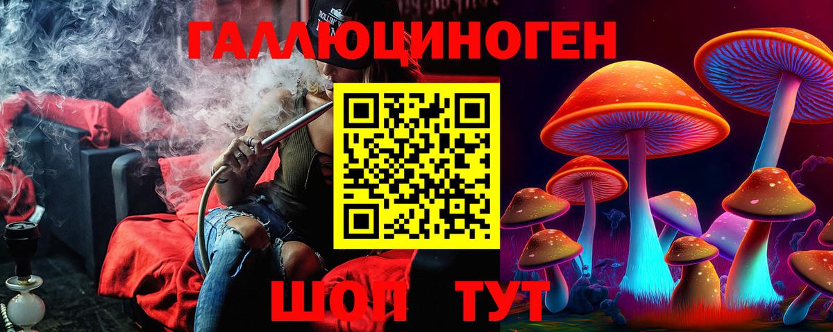 хочу наркоту  Галлюциногенные грибы прущие грибы  Кандалакша  Вход с VPN  Псилоцибиновые грибы мухоморы 
